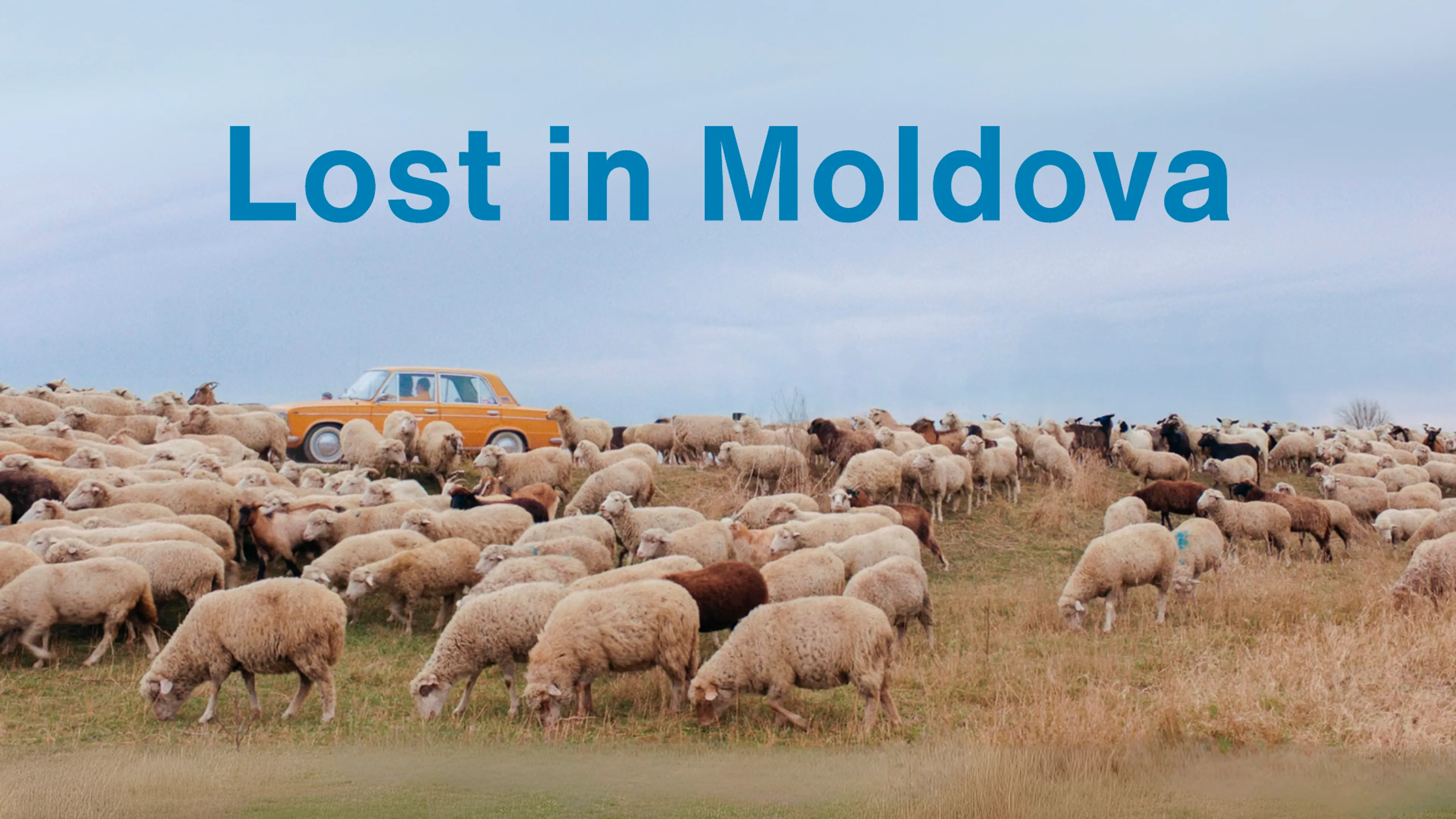 Lost in Moldova poster
